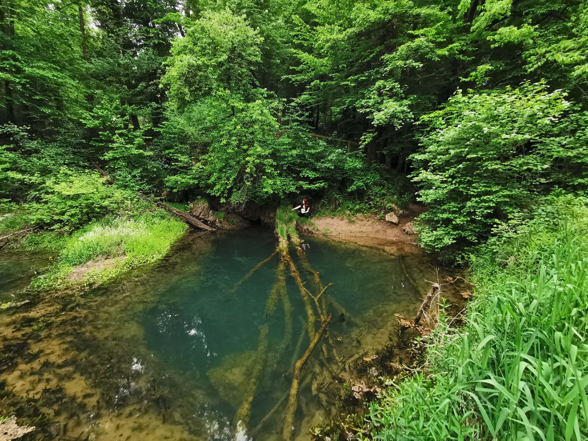 Seventh Erratic Anniversary: Back to the roots